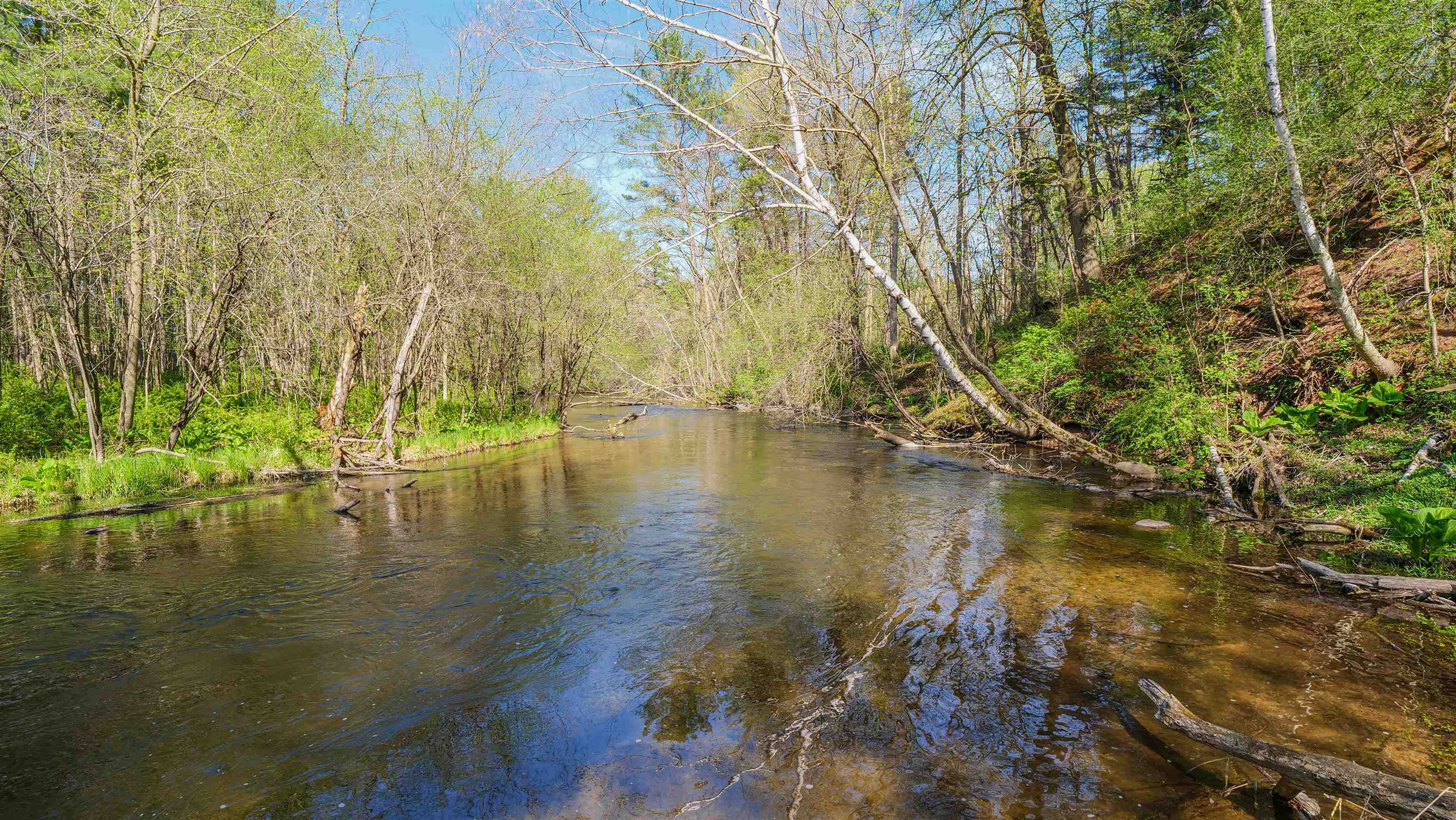 E3192 Apple Tree Lane Waupaca, WI 54981 - Photo 50 of 53