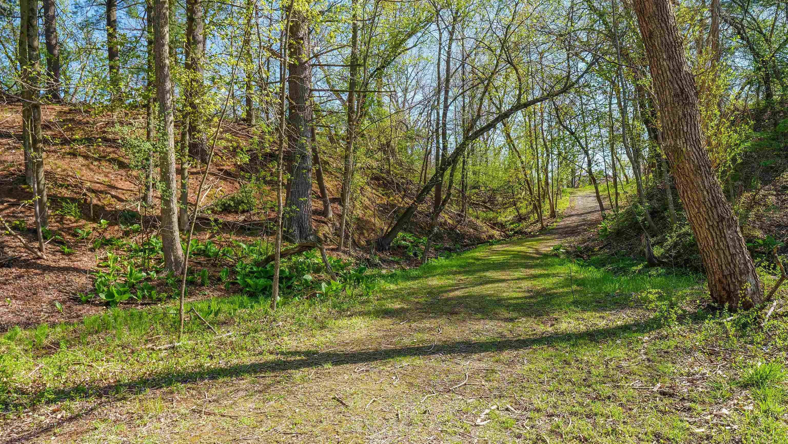 E3192 Apple Tree Lane Waupaca, WI 54981 - Photo 51 of 53