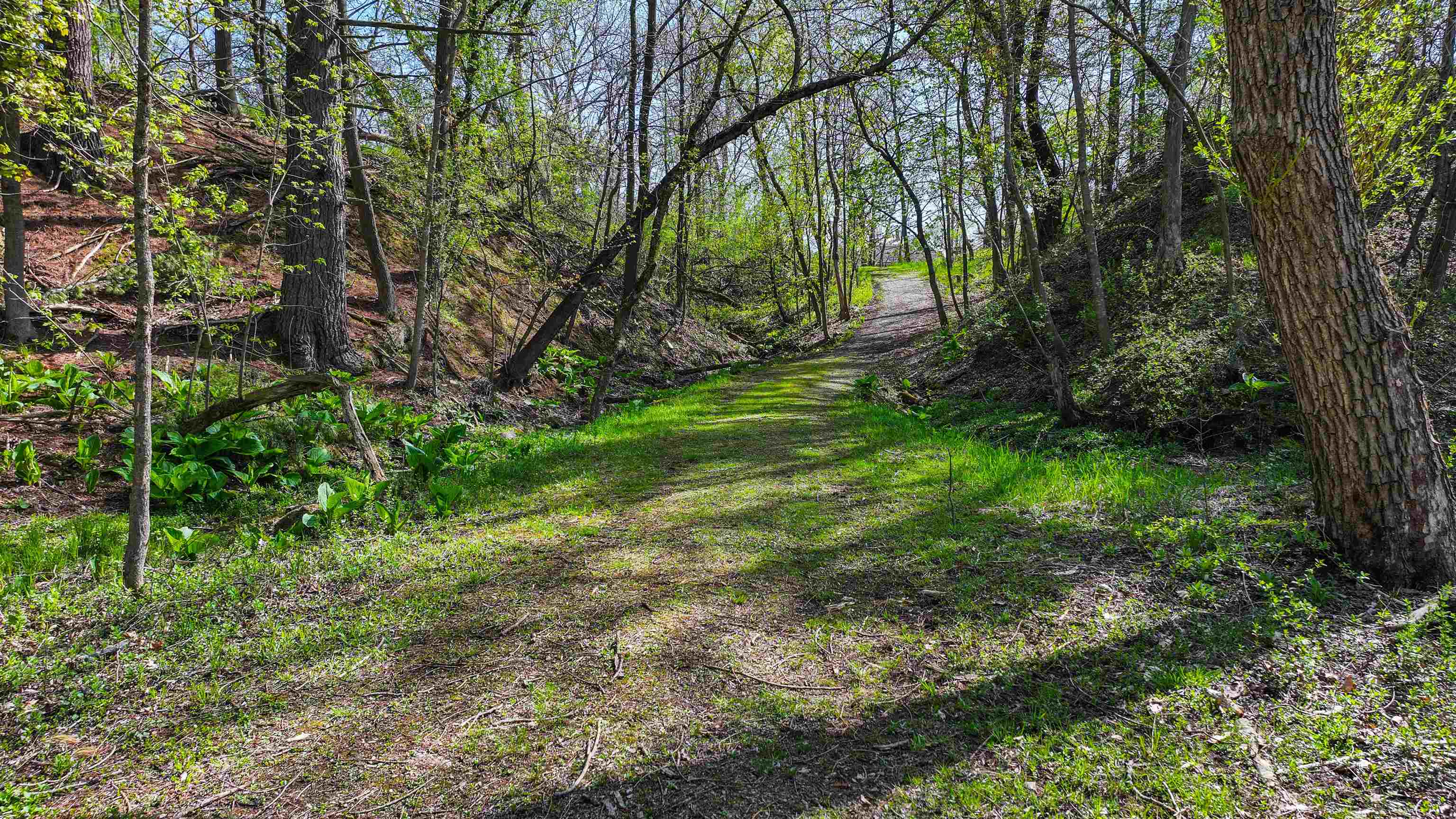 E3192 Apple Tree Lane Waupaca, WI 54981 - Photo 52 of 53