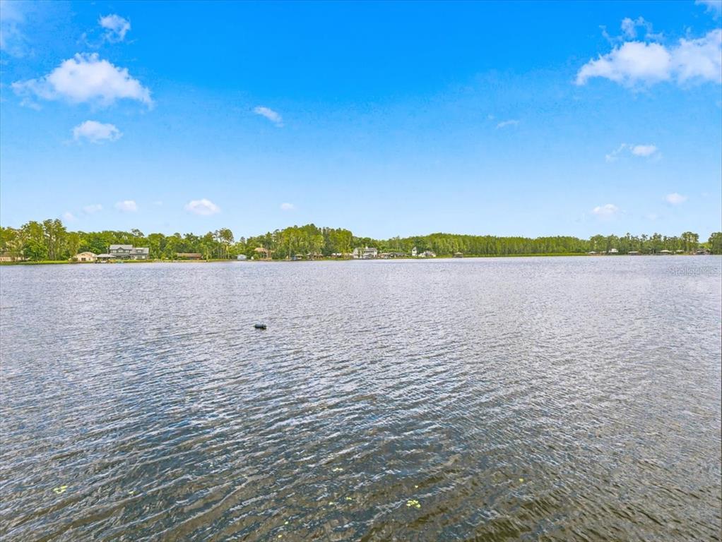 18829 Geraci Road Lutz, FL 33548 - Photo 67 of 77 Gallery Image 67