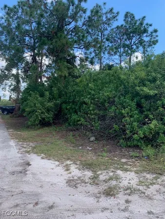 a view of a dirt road with trees in the background