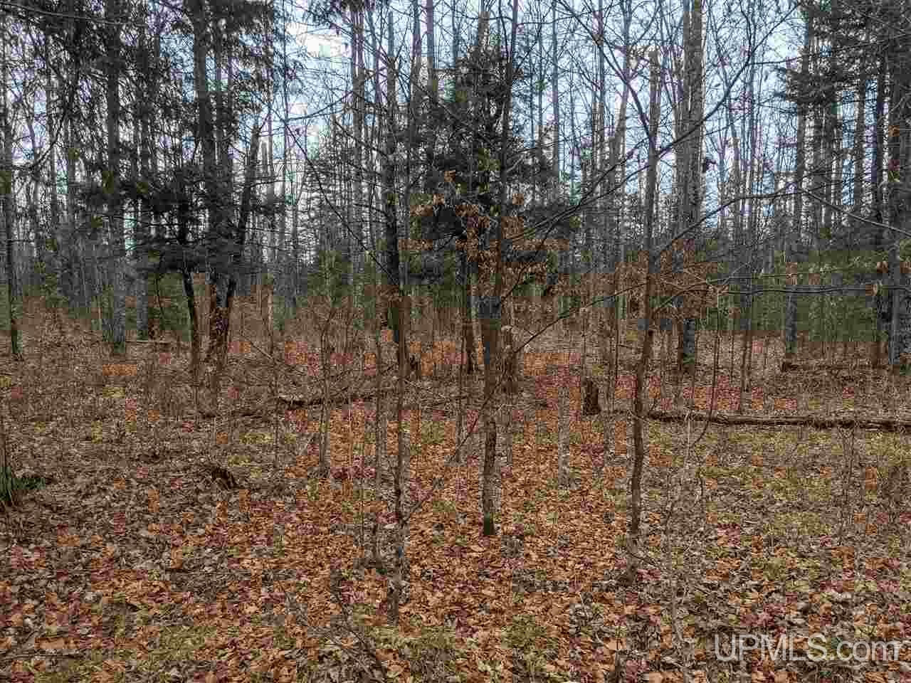 Tbd Tbd Unnamed Road Cornell, MI 49818 - Photo 2 of 10