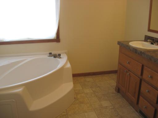 407 James Road Elwood, IL 60421 - Photo 11 of 15 a bathroom with a bathtub and sink