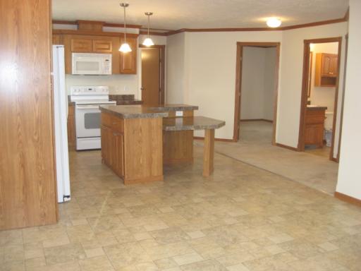 407 James Road Elwood, IL 60421 - Photo 4 of 15 a view of a kitchen and a sink