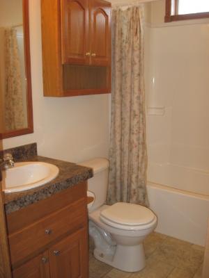407 James Road Elwood, IL 60421 - Photo 8 of 15 a bathroom with a toilet a sink and mirror
