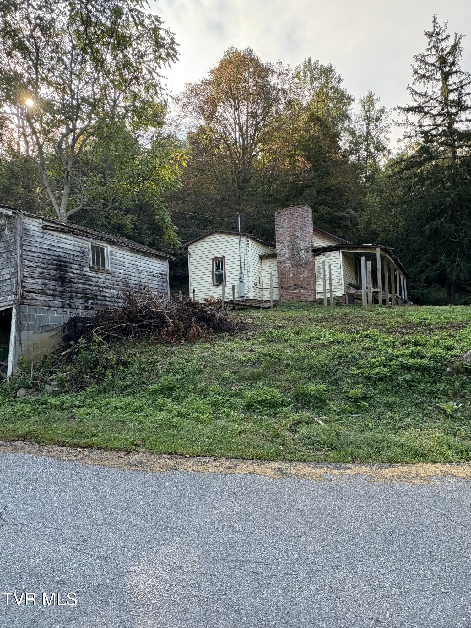 1340 Ryan Road Fall Branch, TN 37656 - Photo 6 of 22 IMG_0718