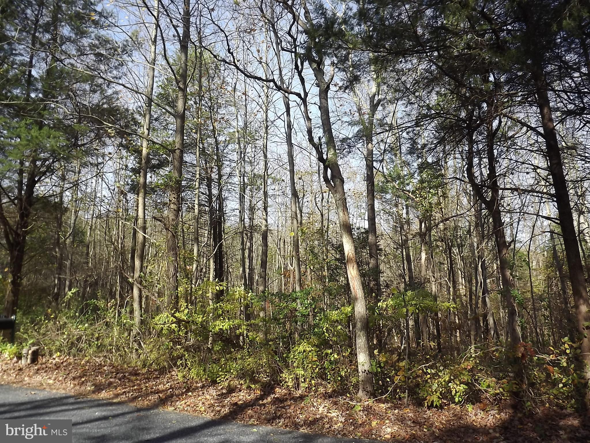 0 Yorketown Road Woodstown, NJ 08098 - Photo 4 of 5 a backyard of a house with lots of green space
