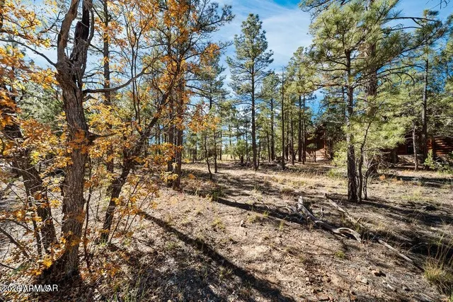 a view of outdoor space with lots of trees