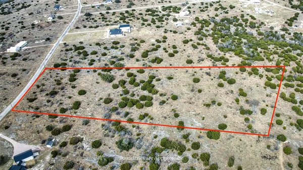 a outdoor space with lots of flowers
