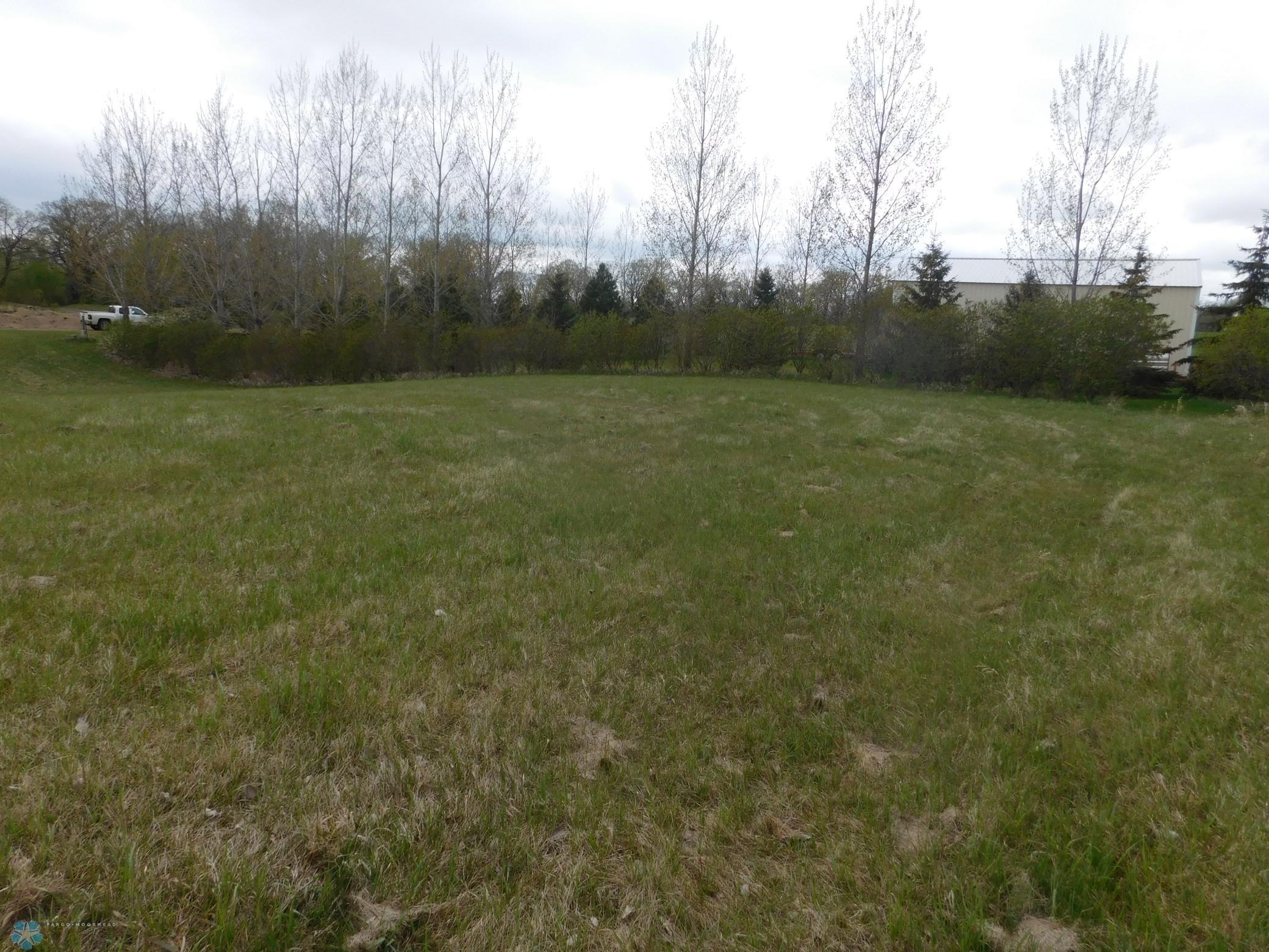 434 Walnut Avenue West Frazee, MN 56544 - Photo 4 of 6