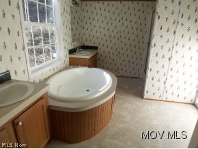 596 Orem Road Belleville, WV 26133 - Photo 7 of 14 Master Bath