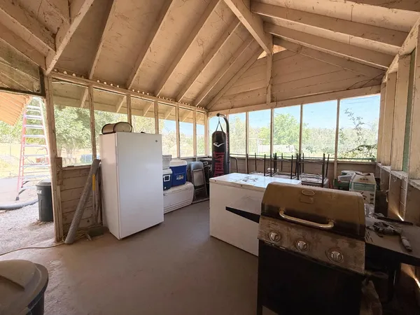 a view of a garden with a bench in the background