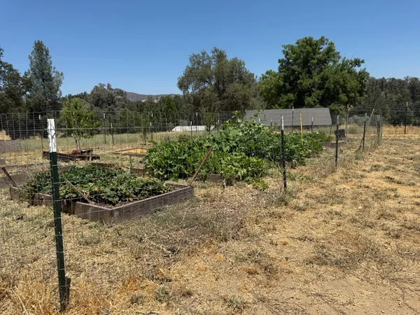 a view of a yard with wooden fence