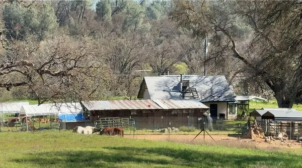 a view of swimming pool with a yard