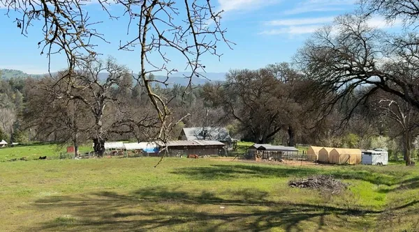 a view of a field with an trees in the background