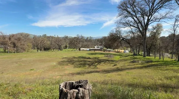 a backyard of a house with a yard and large trees