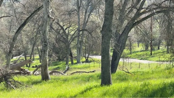 a view of a field with trees in the background