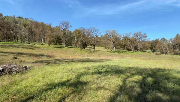 a view of field with trees in background