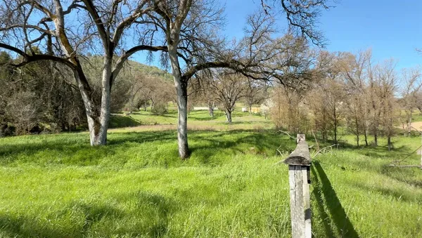 a park with water view