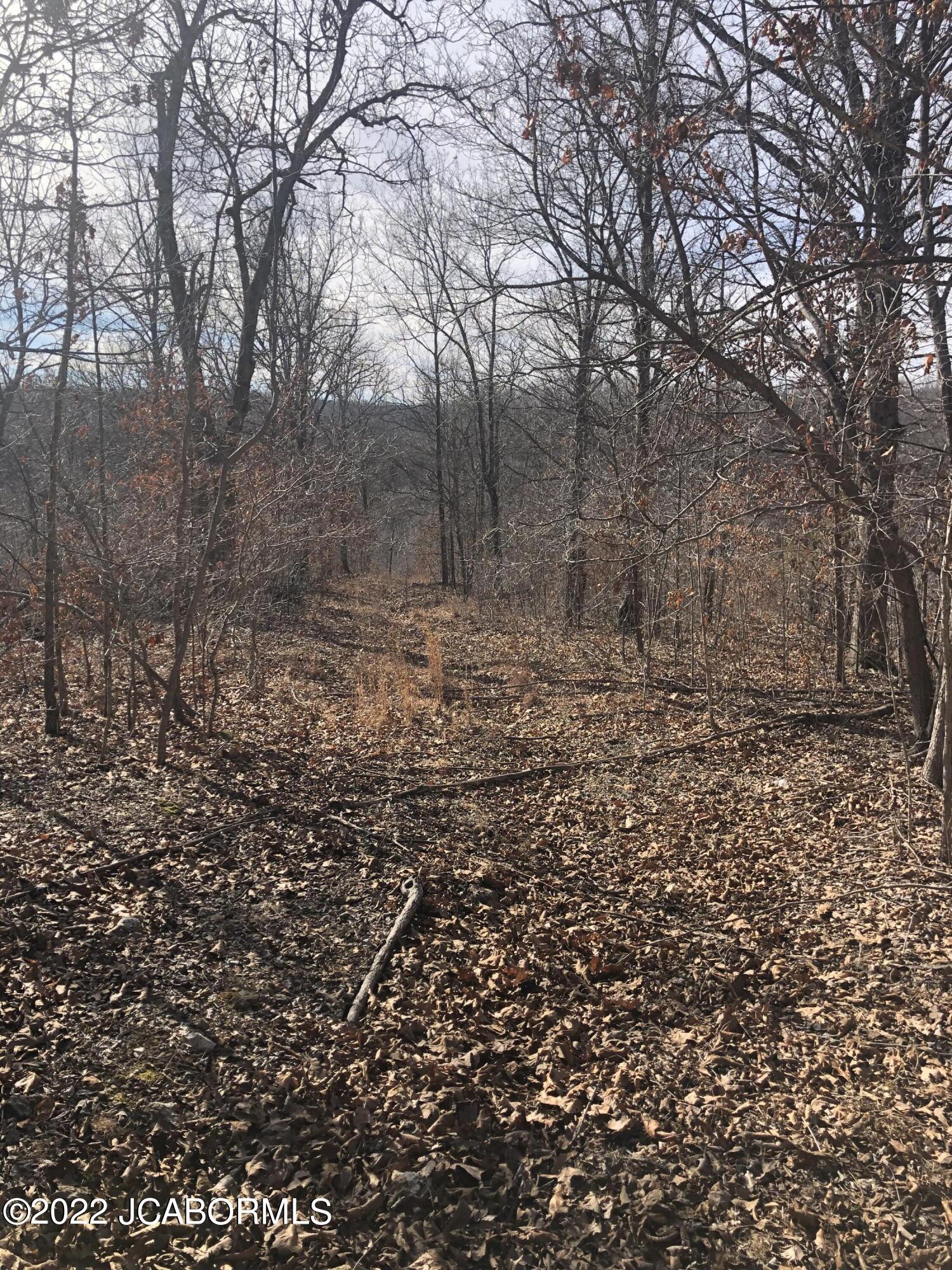 Tbd Broads Branch Road Macks Creek, MO 65786 - Photo 13 of 18