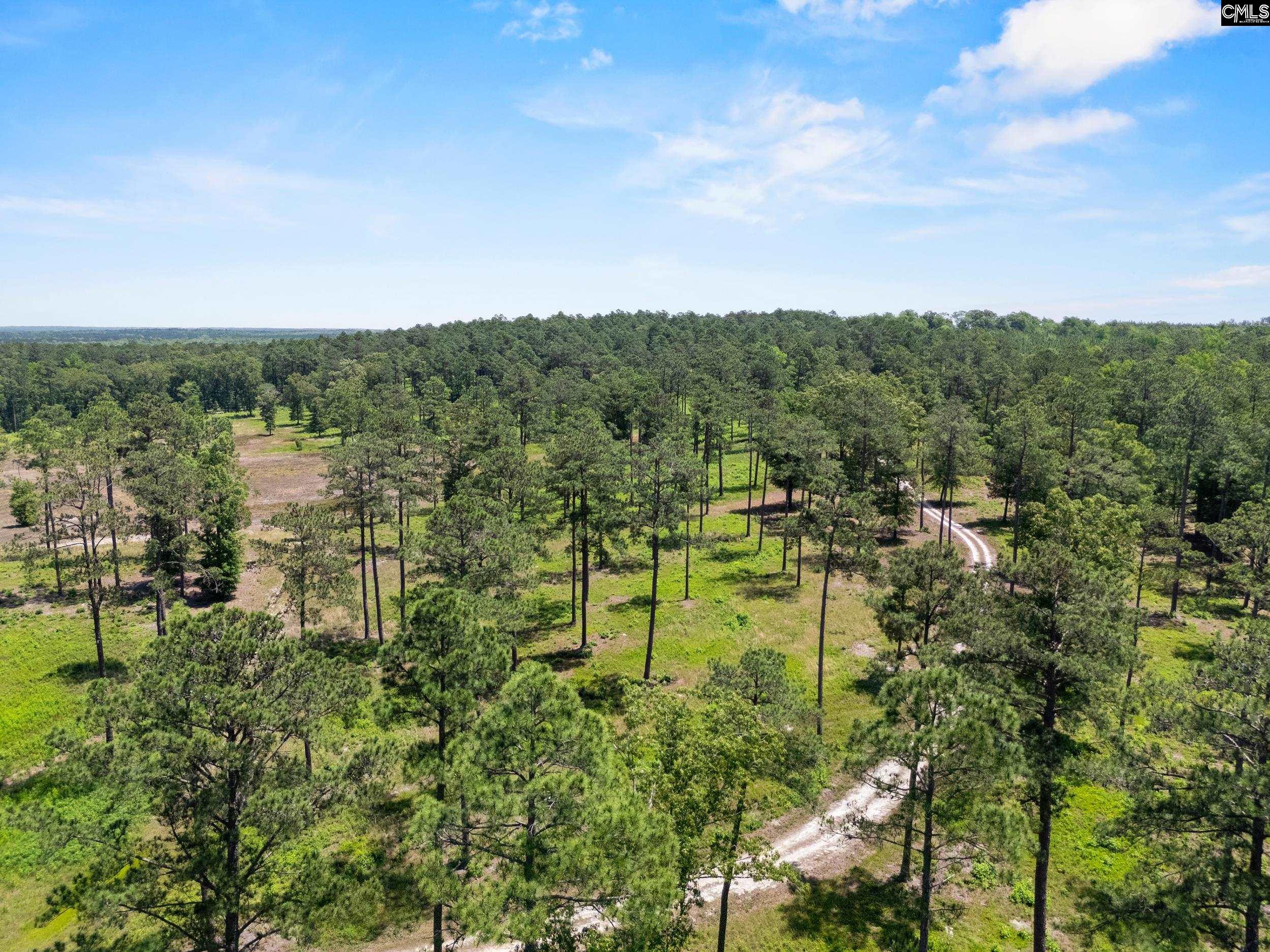 1626-01 Sumter Highway Rembert, SC 29128 - Photo 12 of 16