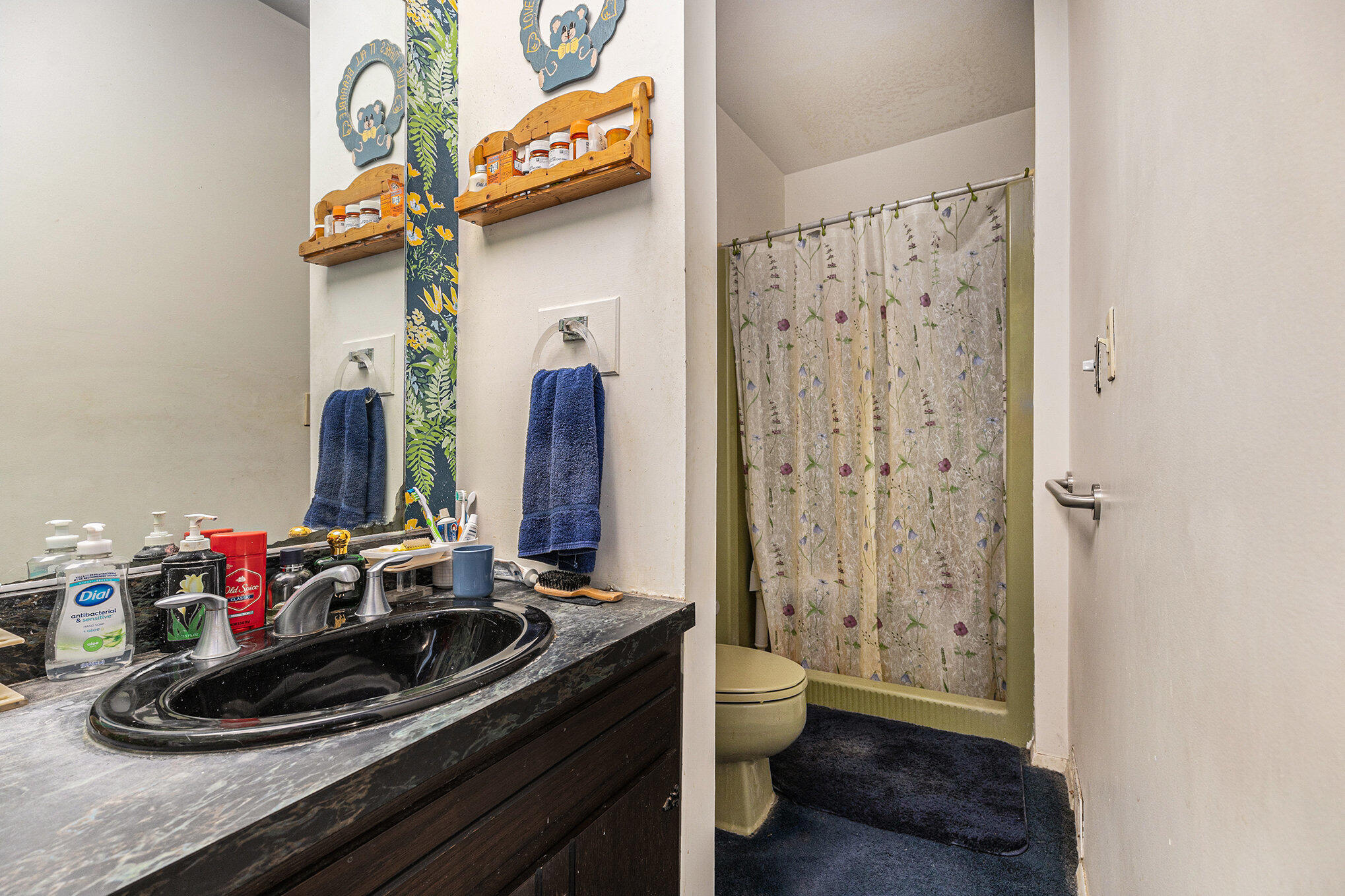 1687 West Willis Road Saline, MI 48176 - Photo 14 of 33 013_img_2010_23