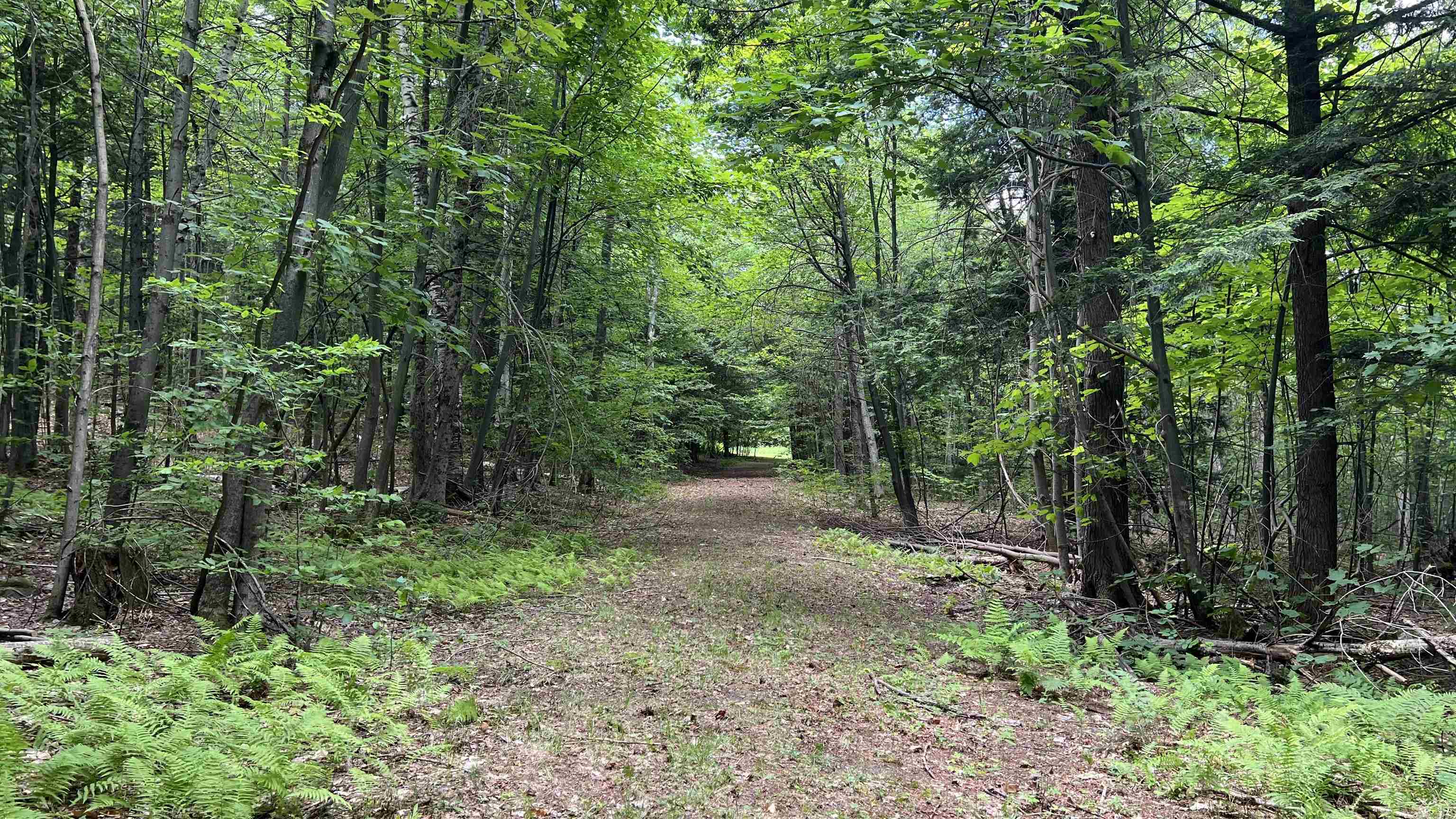 412 Hall Ranch Road Grafton, VT 05146 - Photo 47 of 48