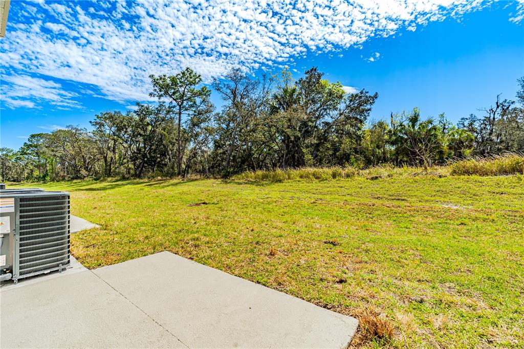 3176 Goose Road Davenport, FL 33837 - Photo 9 of 29