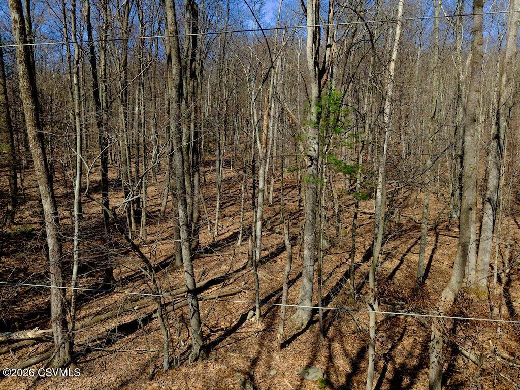 Squirrel Lane Shickshinny, PA 18655 - Photo 46 of 50