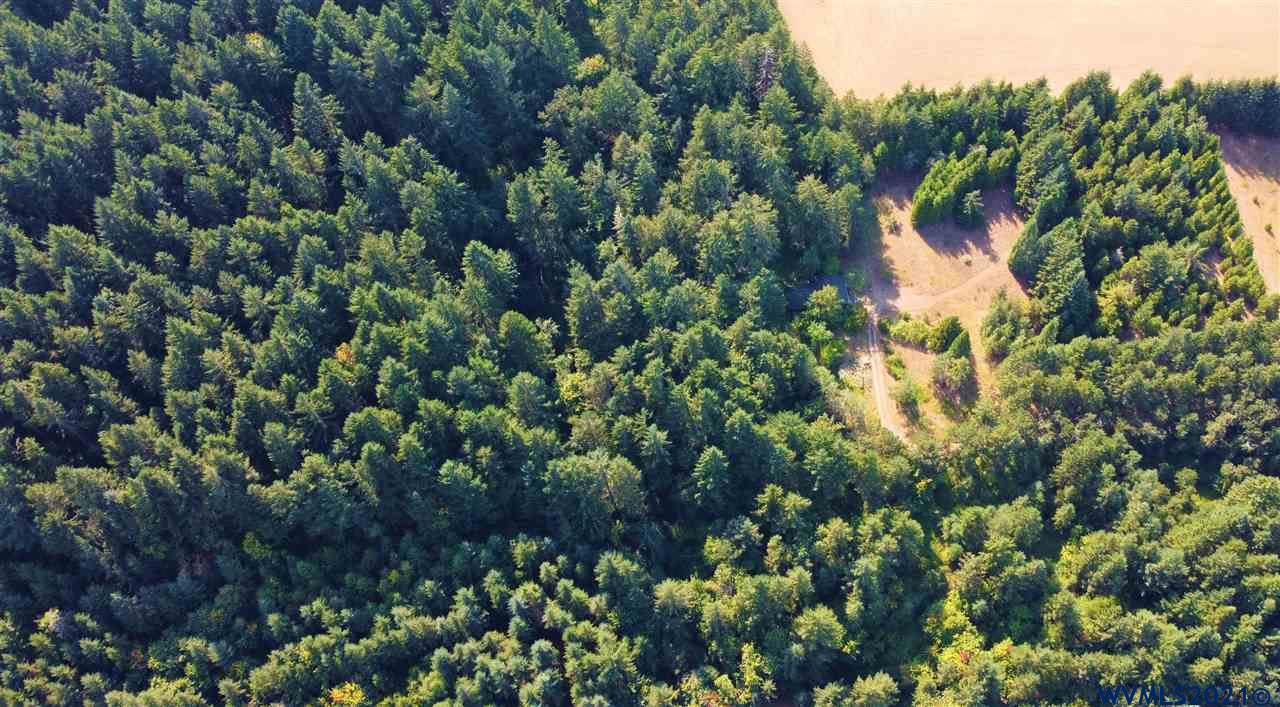 15470 May Road Dallas, OR 97338 - Photo 27 of 32