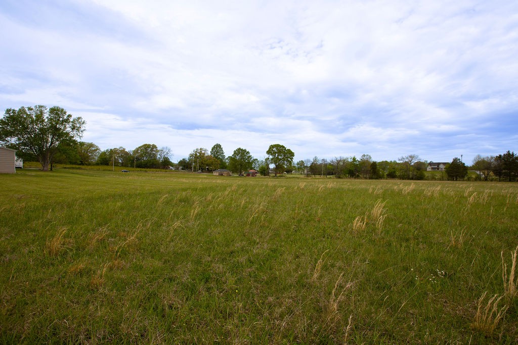 0 Viola Road McMinnville, TN 37110 - Photo 12 of 18