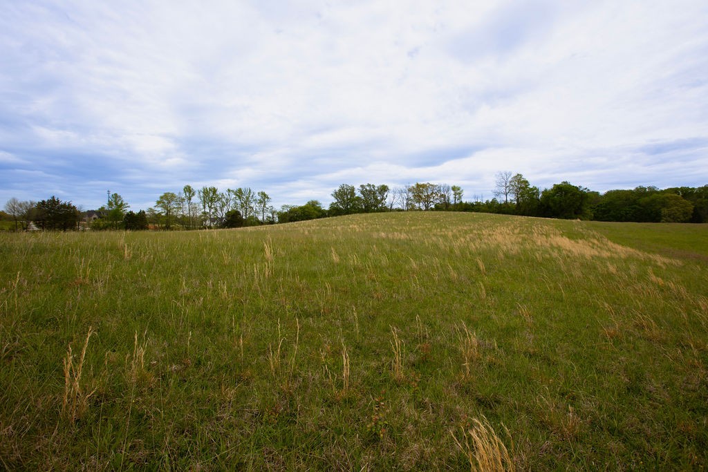0 Viola Road McMinnville, TN 37110 - Photo 13 of 18
