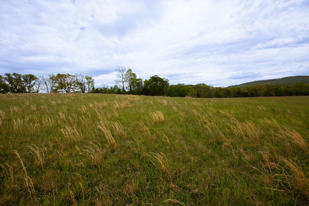 0 Viola Road McMinnville, TN 37110 - Photo 14 of 18