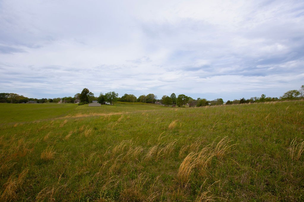 0 Viola Road McMinnville, TN 37110 - Photo 15 of 18