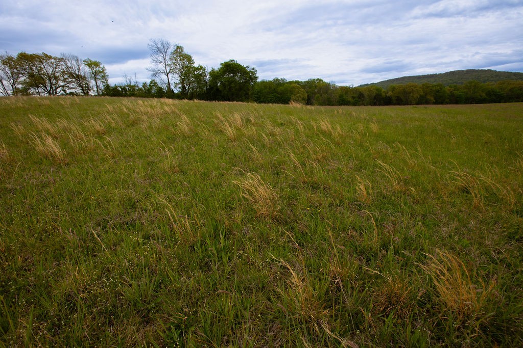 0 Viola Road McMinnville, TN 37110 - Photo 16 of 18