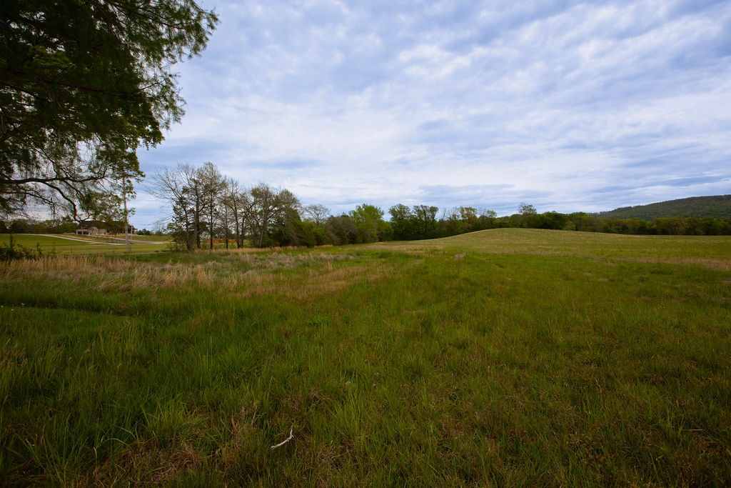 0 Viola Road McMinnville, TN 37110 - Photo 17 of 18