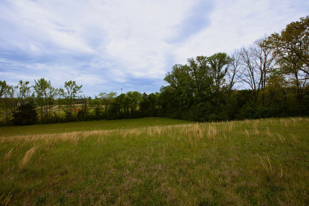 0 Viola Road McMinnville, TN 37110 - Photo 18 of 18