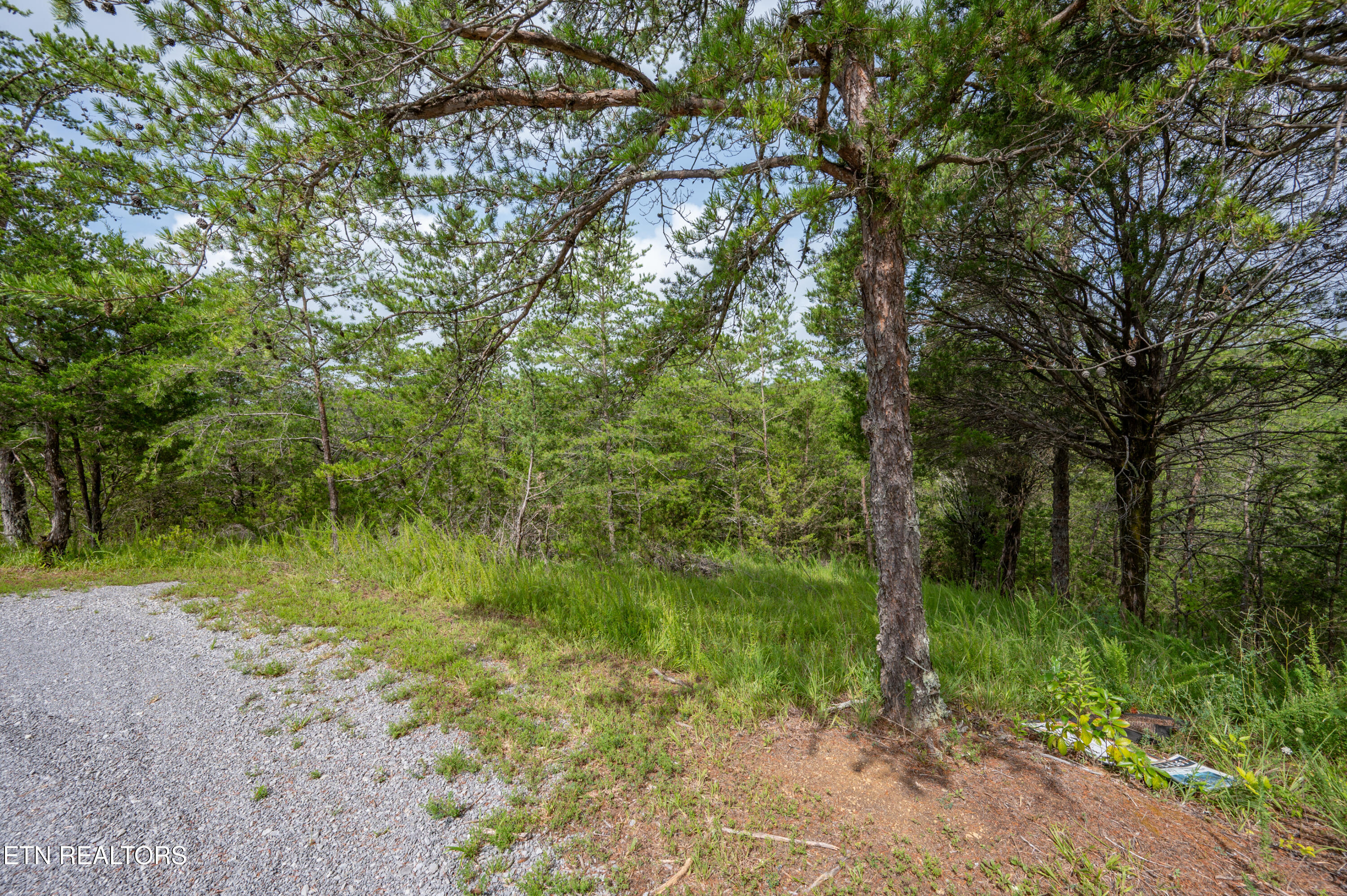 Lot 7 Parrotts Chapel Road Sevierville, TN 37876 - Photo 23 of 29 DSC_5141