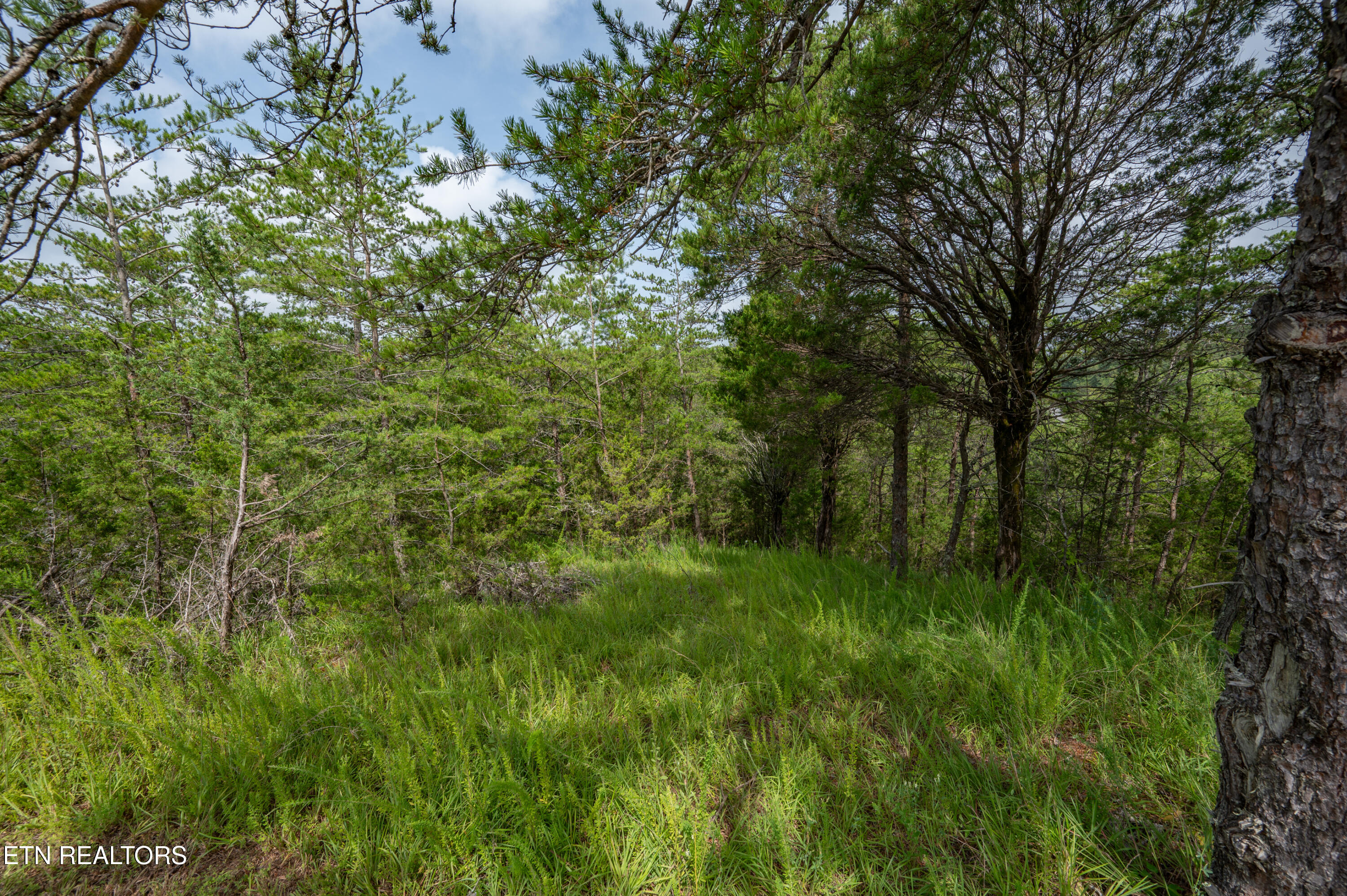 Lot 7 Parrotts Chapel Road Sevierville, TN 37876 - Photo 24 of 29 DSC_5144