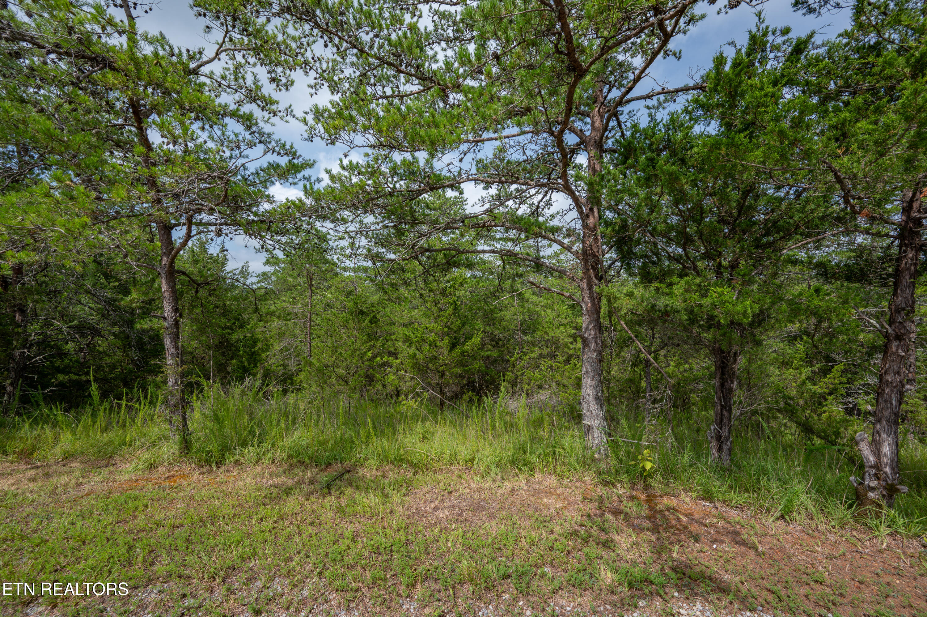 Lot 7 Parrotts Chapel Road Sevierville, TN 37876 - Photo 26 of 29 DSC_5150