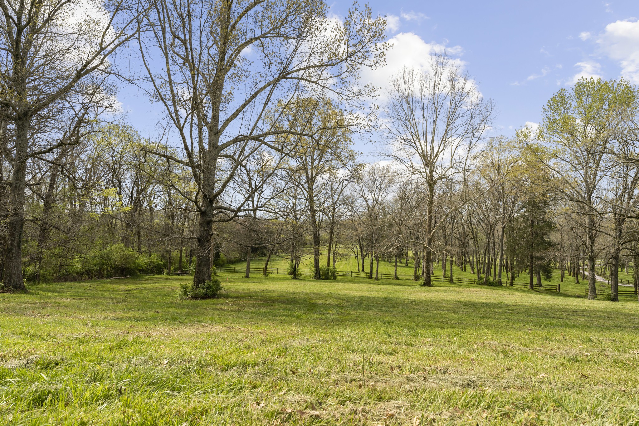 1196 Sneed Road West Franklin, TN 37069 - Photo 2 of 2 a view of a park with tree s