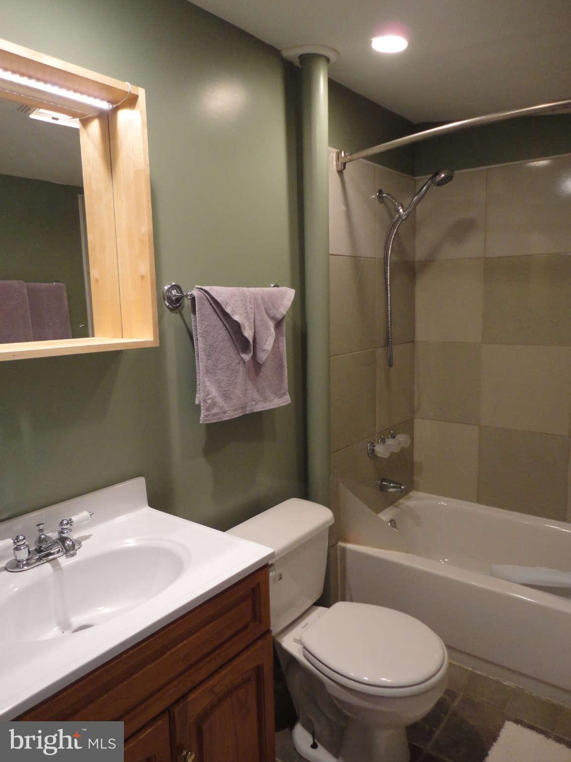 210 Ashland Road Cockeysville, MD 21030 - Photo 14 of 25 Studio Apartment Bathroom