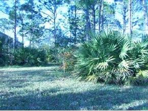 835 Northwest Rostock Palm Bay, FL 32907 - Photo 2 of 8 Additional Photo