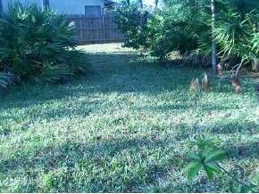 835 Northwest Rostock Palm Bay, FL 32907 - Photo 4 of 8 Additional Photo