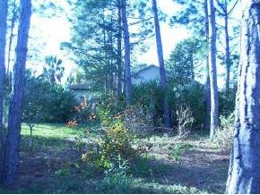 835 Northwest Rostock Palm Bay, FL 32907 - Photo 6 of 8 Additional Photo