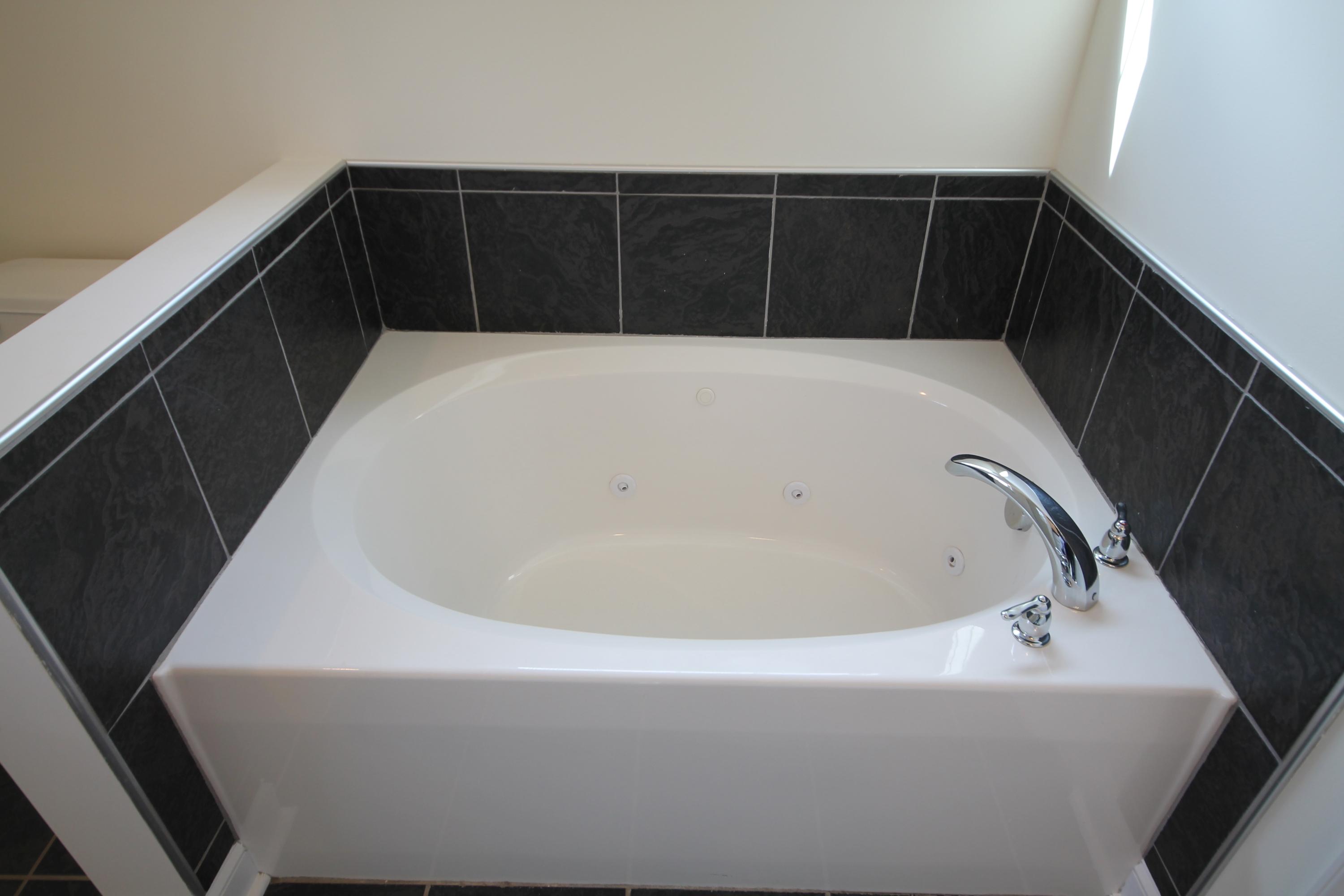 1010 Morewood Road Hardy, VA 24101 - Photo 18 of 36 Master jetted tub