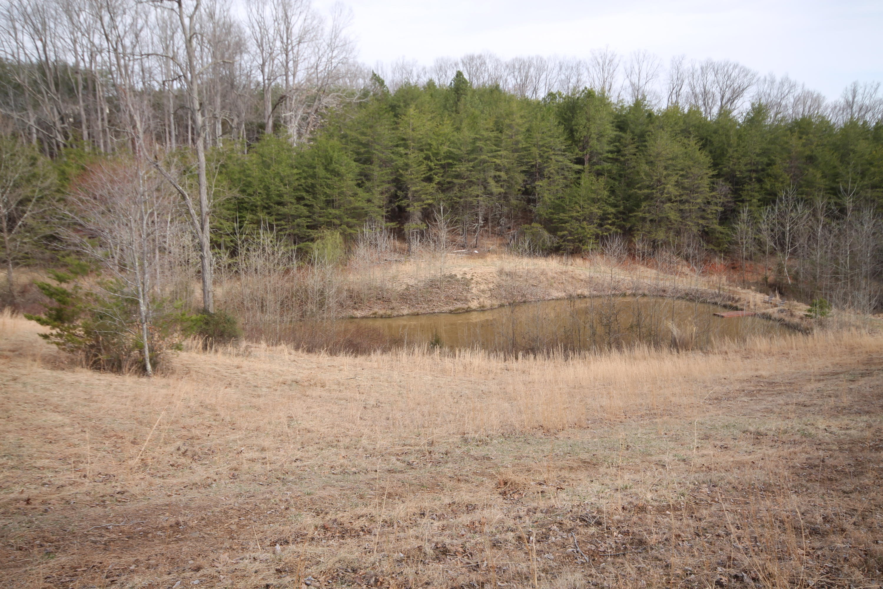1010 Morewood Road Hardy, VA 24101 - Photo 27 of 36 Pond