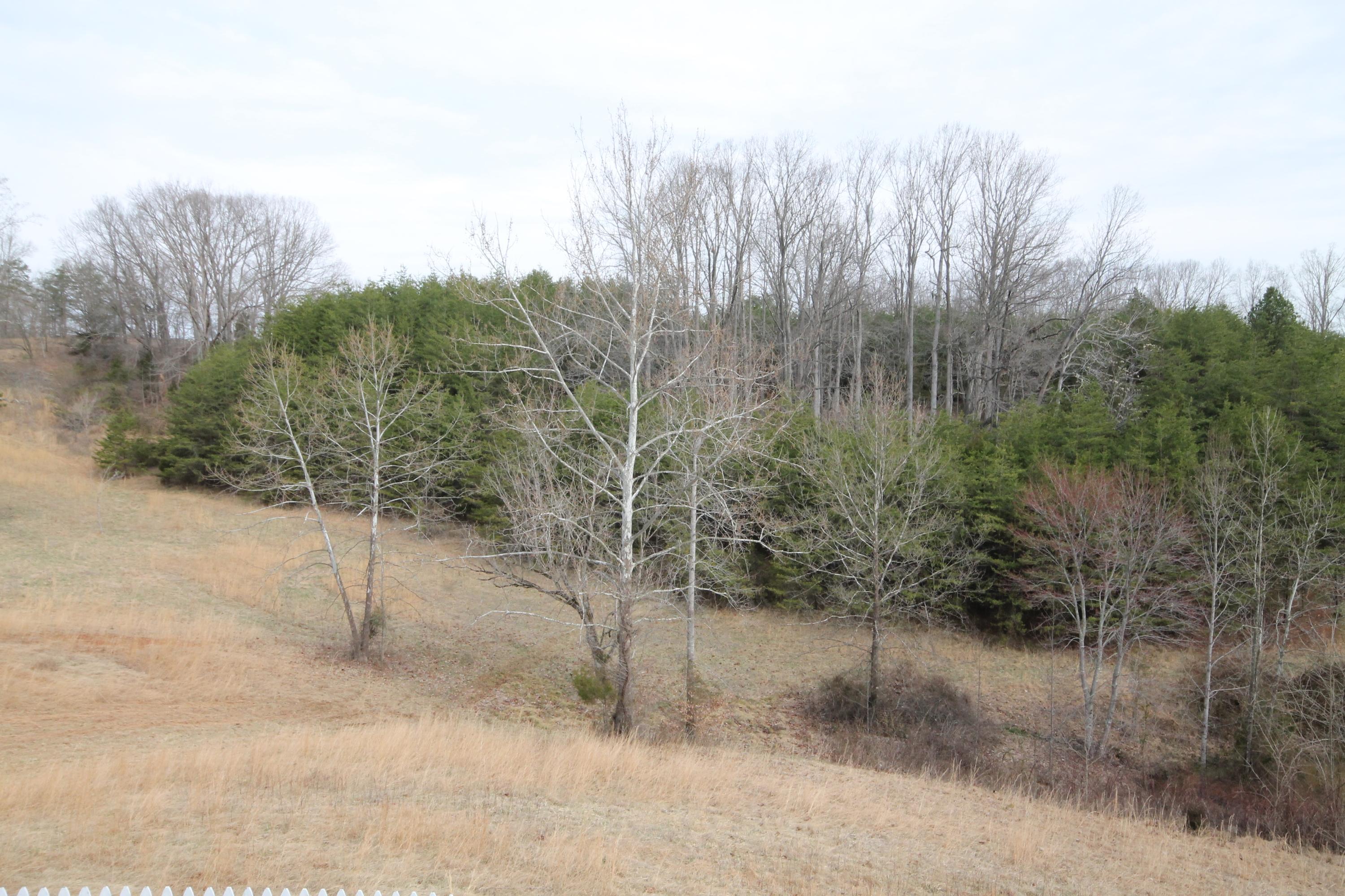 1010 Morewood Road Hardy, VA 24101 - Photo 32 of 36 Acreage
