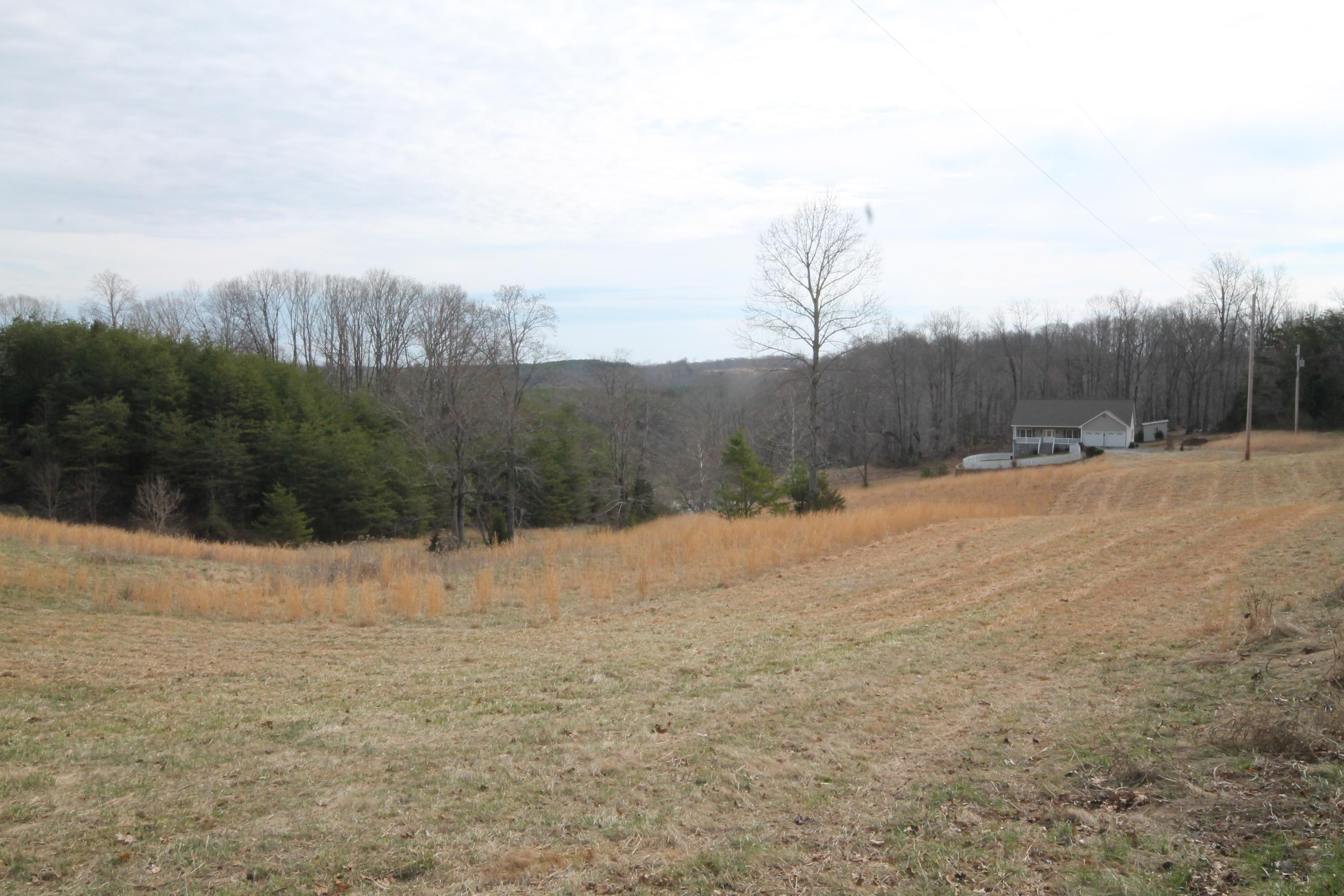 1010 Morewood Road Hardy, VA 24101 - Photo 36 of 36 View from road