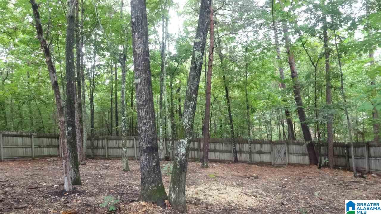 308 Grande View Trail Alabaster, AL 35114 - Photo 42 of 49